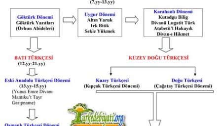 Türk Dilinin Tarihi: Türkçenin Kökenleri ve Gelişimi