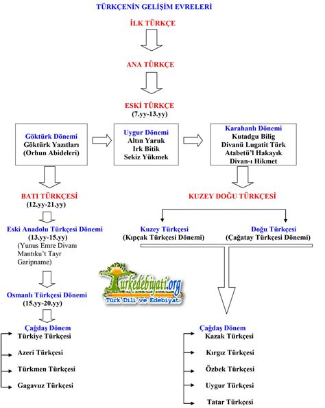 Türk Dilinin Tarihi: Türkçenin Kökenleri ve Gelişimi