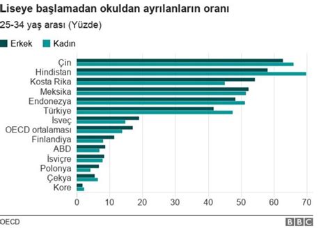 Türkiye'de Öğrenci Sayısı ve Eğitim İstatistikleri: Son Rakamlar ve Analizler